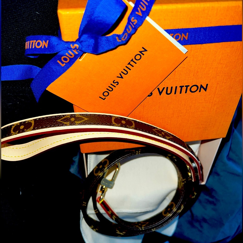 Louis Vuitton Dog Leash AND Collar